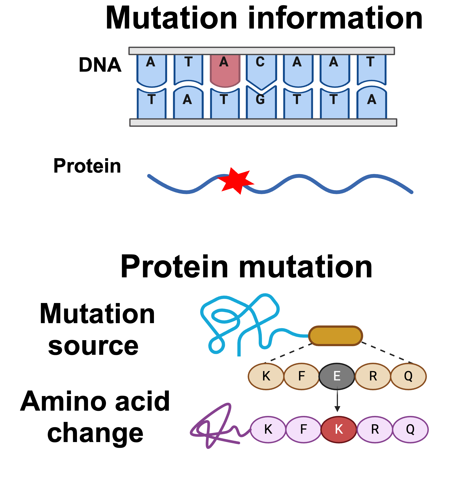 Mutation Validation