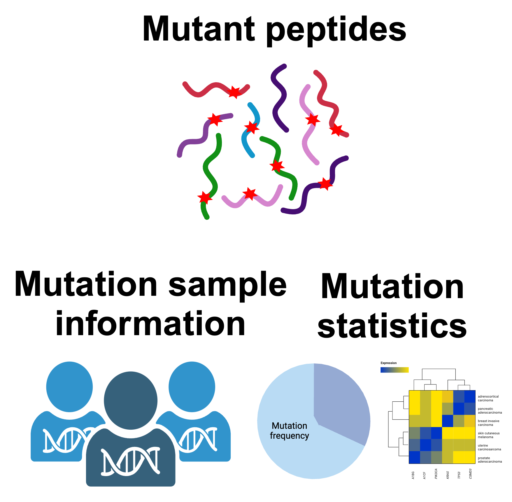 Peptide Generation