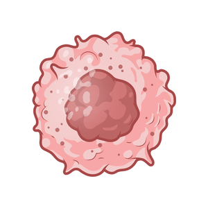 Cancer Types