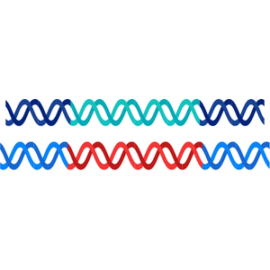 Genes
